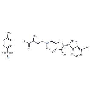 S-腺苷蛋氨酸對(duì)甲苯磺酸鹽,S-(5