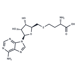 S-(5'-腺苷)-L-高半胱氨酸|TQ0208