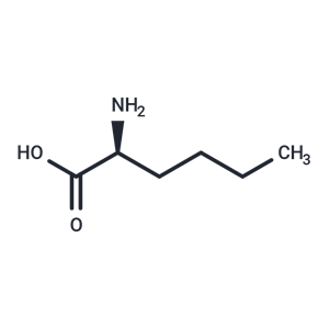 L-2-氨基己酸|T4765