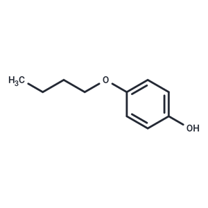 4-正丁氧基苯酚|T1350