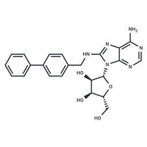 化合物 CNT2 抑制劑-1,CNT2 inhibitor-1