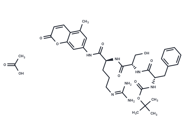 胰蛋白酶,Trypsin