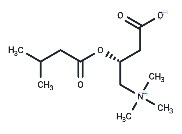 化合物Isovalerylcarnitine,Isovalerylcarnitine