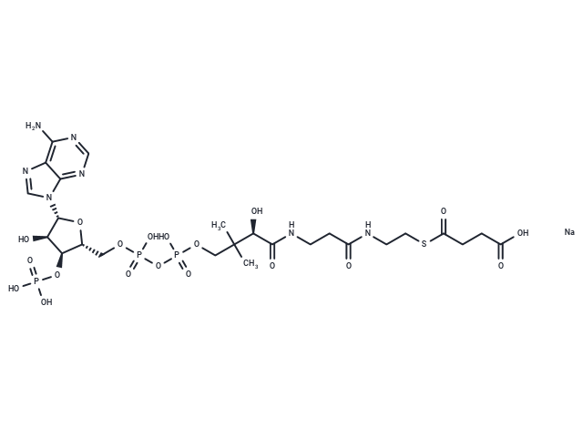 琥珀酰輔酶A鈉鹽,Succinyl-Coenzyme A sodium salt