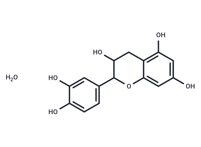 (+)-水合兒茶素,(+)-Catechin Hydrate