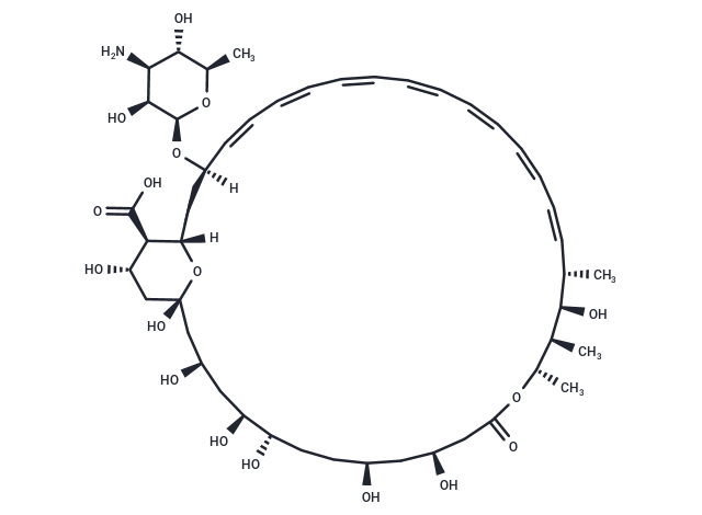 兩性霉素B,Amphotericin B