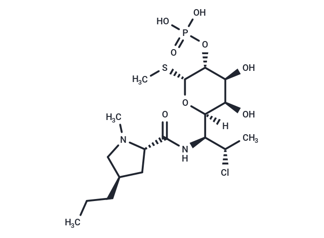 克林霉素磷酸酯,Clindamycin phosphate