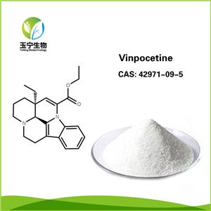 長春西汀,Vinpocetine