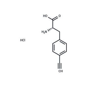 化合物 p-Ethynylphenylalanine hydrochloride|T10142L|TargetMol