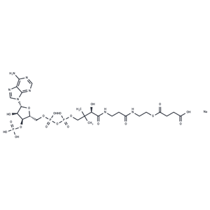 琥珀酰輔酶A鈉鹽,Succinyl-Coenzyme A sodium salt