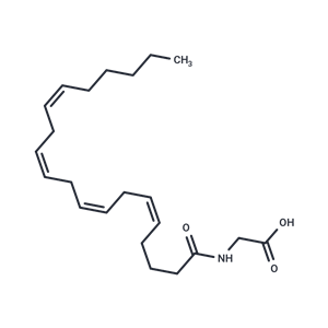 化合物 N-Arachidonylglycine|T23040|TargetMol