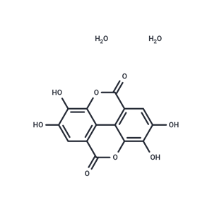 鞣花酸二水合物|T9328|TargetMol
