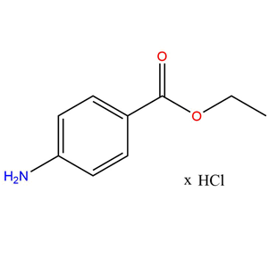 化合物 Benzocaine xHCl|T6782L|TargetMol