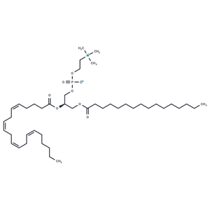 2-花生四烯酰-1-棕櫚酰-sn-甘油-3-磷酸膽堿|T85255|TargetMol