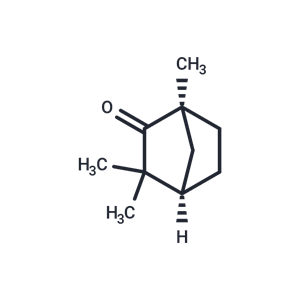 (+)-葑酮|T7956|TargetMol