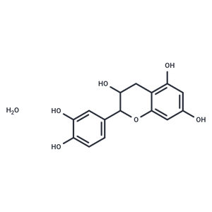 (+)-水合兒茶素,(+)-Catechin Hydrate