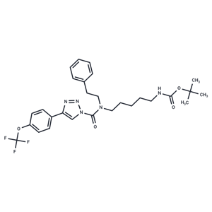 化合物 DAGLβ-IN-1|T10954|TargetMol