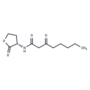 N-3-氧代-辛?；?L-高絲氨酸內(nèi)酯,N-3-Oxo-octanoyl-L-homoserine lactone