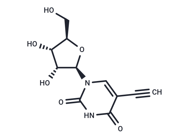 5-乙炔基尿苷,5-Ethynyluridine