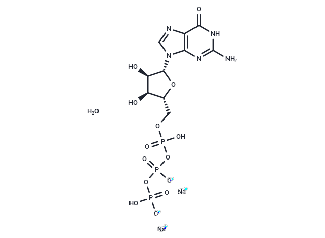 化合物 Guanosine-5'-triphosphate disodium salt,Guanosine-5'-triphosphate disodium salt