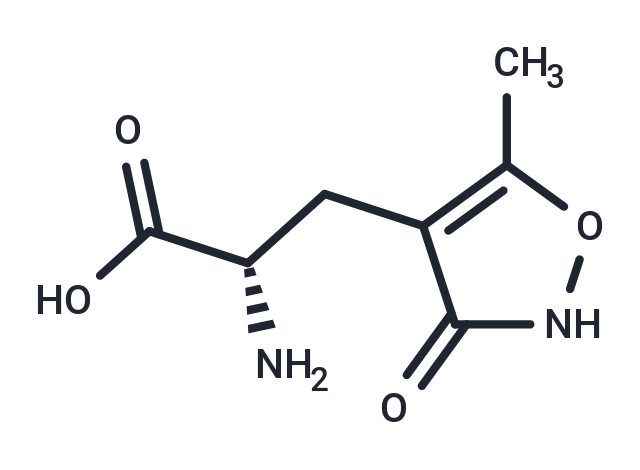 化合物 (S)-AMPA,(S)-AMPA