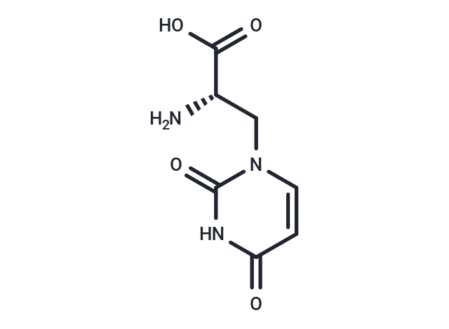 尿嘧啶基丙氨酸,(S)-Willardiine