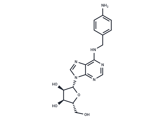 N-[(4-氨基苯基)甲基]腺苷,N-[(4-Aminophenyl)methyl]adenosine