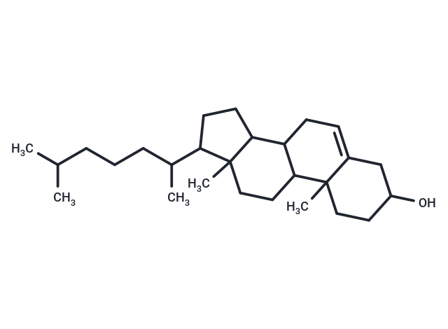 膽固醇,Cholesterol