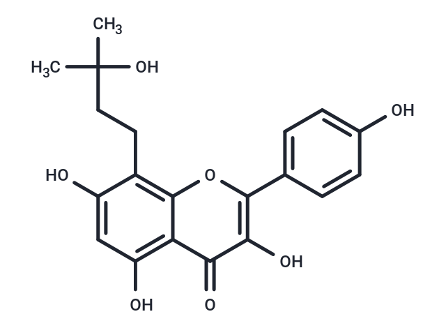 諾里卡汀,Noricaritin