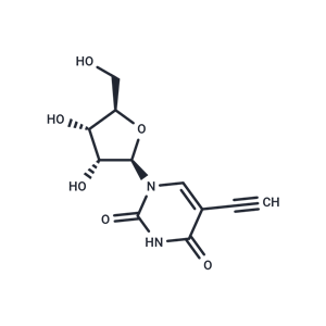 5-乙炔基尿苷,5-Ethynyluridine