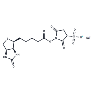 化合物 Sulfo-NHS-Biotin|T19952|TargetMol