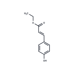 對香豆酸乙酯,p-Coumaric Acid Ethyl Ester