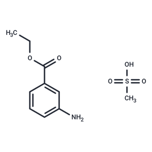 3-氨基苯甲酸乙酯甲基磺酸鹽|T21483|TargetMol