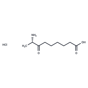 KAPA (hydrochloride)|T36365|TargetMol