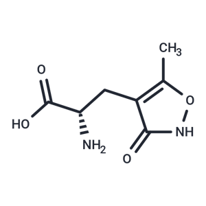 化合物 (S)-AMPA|T21271|TargetMol