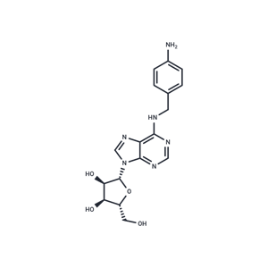 N-[(4-氨基苯基)甲基]腺苷,N-[(4-Aminophenyl)methyl]adenosine