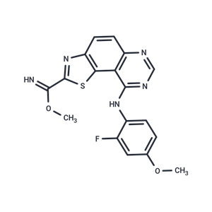 化合物 EHT 1610|T15204|TargetMol