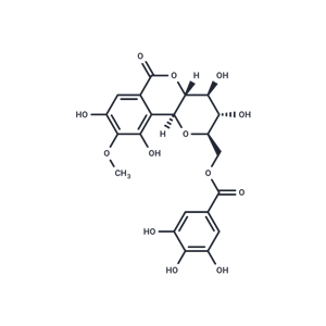 11-O-沒(méi)食子酰巖白菜素|T3832|TargetMol