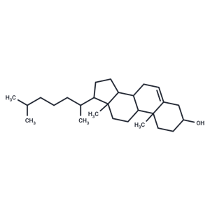 膽固醇,Cholesterol