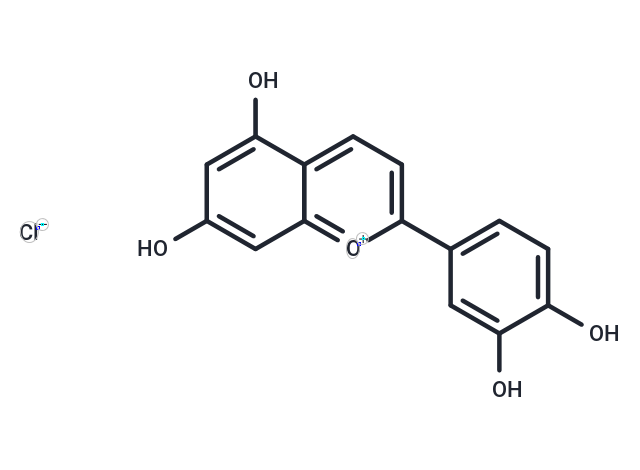 木犀草定氯化物,Luteolinidin chloride