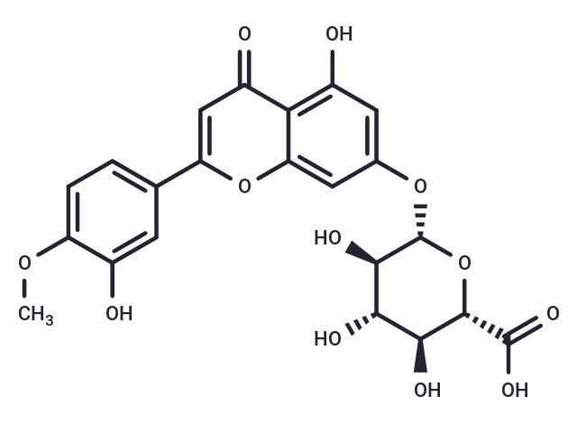 化合物DiosMetin 7-O-β-D-Glucuronide,DiosMetin 7-O-β-D-Glucuronide