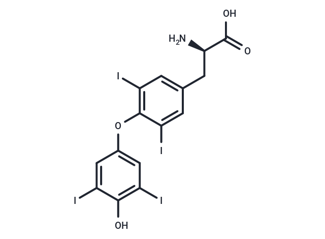 D-甲狀腺素,D-Thyroxine