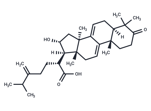 聚孔酸C,Polyporenic acid C