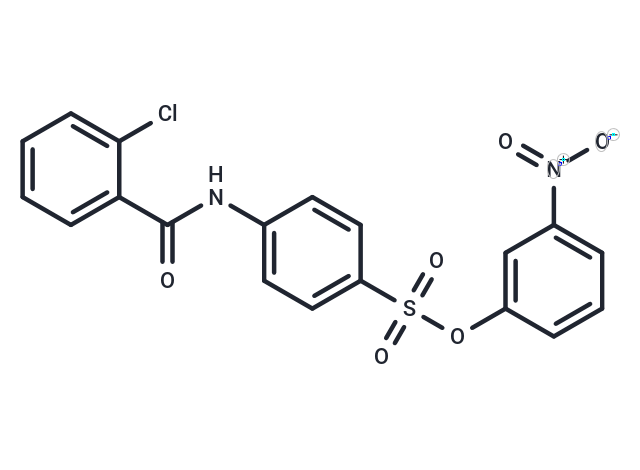 P2Y2R/GPR17拮抗劑1,P2Y2R/GPR17 antagonist 1