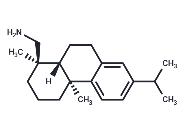 脫氫松香胺,Dehydroabiethylamine