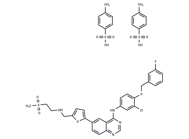 二甲苯磺酸拉帕替尼,Lapatinib Ditosylate