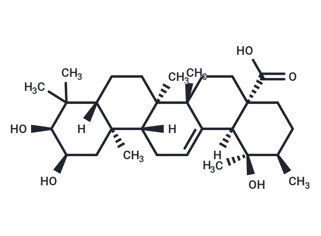 野鴉椿酸,Euscaphic acid