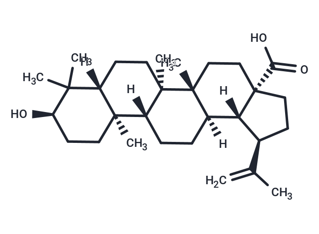 表白樺脂酸,Epibetulinic acid