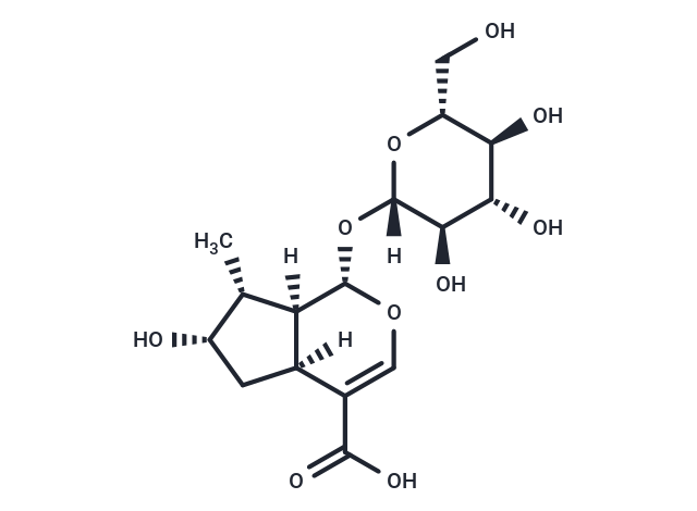 馬錢苷酸,Loganic acid