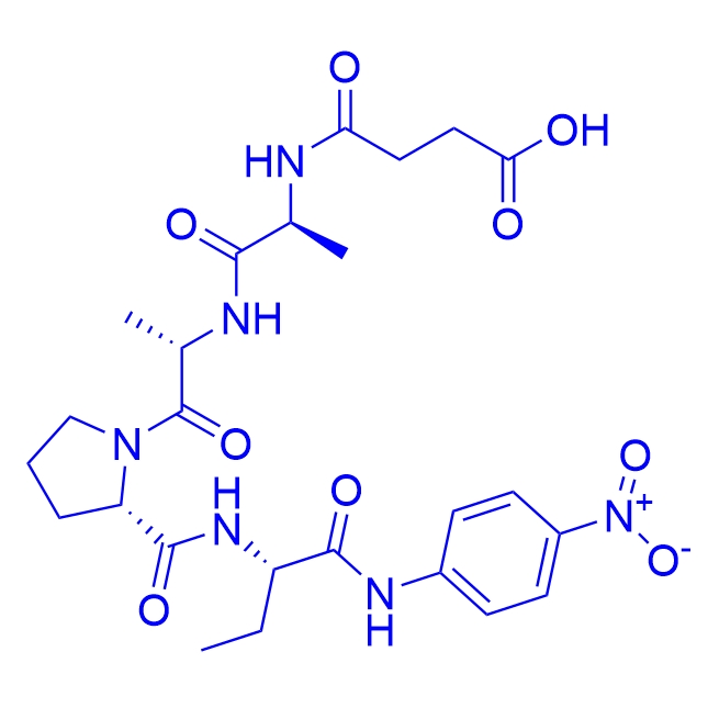 酶熒光底物肽Suc-Ala-Ala-Pro-Abu-pNA,Suc-Ala-Ala-Pro-Abu-pNA